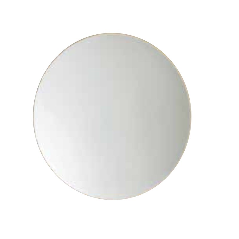 Mirror with diffused led light